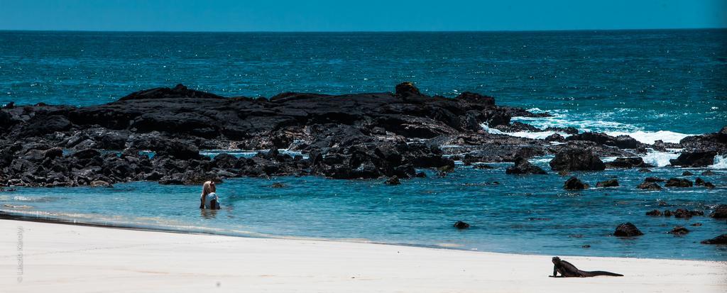 Iguana Crossing Boutique Hotel Puerto Villamil Eksteriør billede