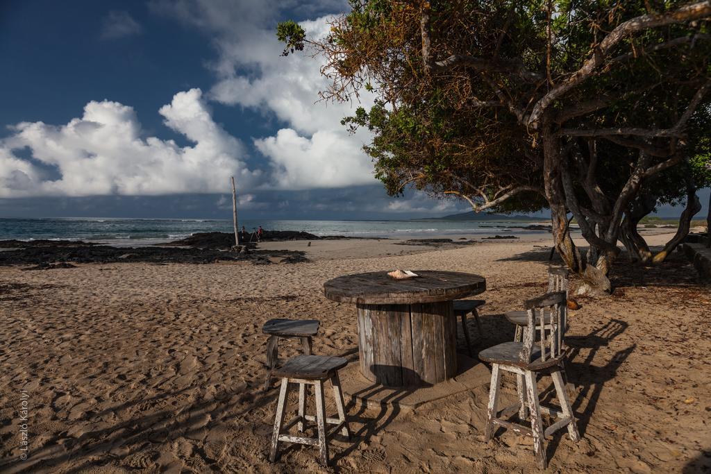 Iguana Crossing Boutique Hotel Puerto Villamil Eksteriør billede