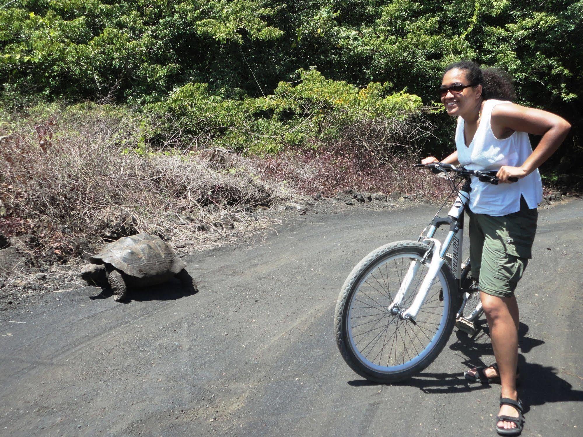 Iguana Crossing Boutique Hotel Puerto Villamil Eksteriør billede